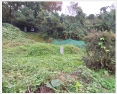  2024Ÿ83186  ֽ  縮 42      (1)