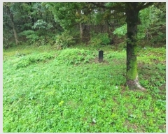  2024Ÿ83186  ֽ  縮 42      (1)