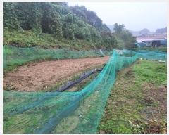  2024Ÿ83186  ֽ  縮 42      (1)