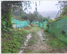  2024Ÿ83186  ֽ  縮 42      (1)