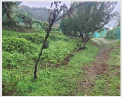  2024Ÿ83186  ֽ  縮 42      (1)