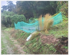  2024Ÿ83186  ֽ  縮 42      (1)