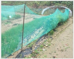  2024Ÿ83186  ֽ  縮 42      (1)