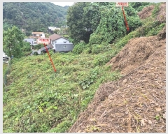  2024Ÿ83261  ֽ  Լ 125-4      (Ӿ)