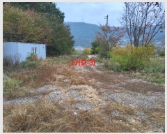  2024Ÿ��83919 ��� ���� ���Ǹ� õ�ȸ� 527-11      ����,â�����