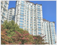  2024Ÿ84264  ֽ ۻ307 16, 5302 131303ȣ (,ֺϿ콺丮)    Ʈ