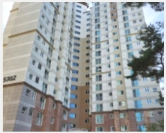  2024Ÿ84264  ֽ ۻ307 16, 5302 131303ȣ (,ֺϿ콺丮)    Ʈ