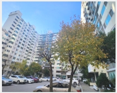  2024Ÿ84363  ֽ  ǿ 100, 5 141404ȣ (ѽű׸Ʈ)   Ʈ