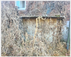  2024Ÿ��84509  ���ð��