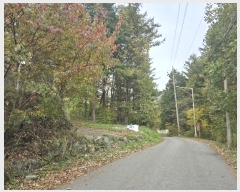  2024Ÿ��84752  ��Ÿ�������