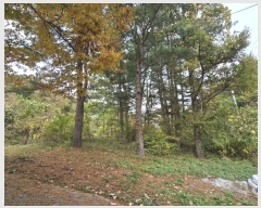  2024Ÿ��84752  ��Ÿ�������