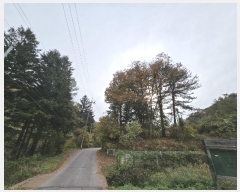  2024Ÿ��84752  ��Ÿ�������