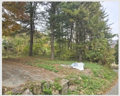  2024Ÿ��84752  ��Ÿ�������