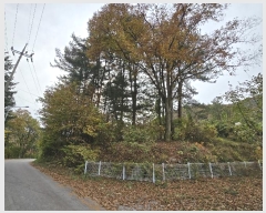  2024Ÿ��84752  ��Ÿ�������