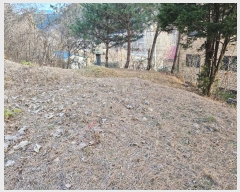  2024Ÿ86017   û õ 106-2      (1)