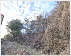  2024Ÿ86017   û õ 106-2      (1)