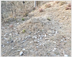  2024Ÿ86017   û õ 106-2      (1)