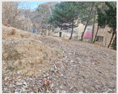  2024Ÿ86017   û õ 106-2      (1)