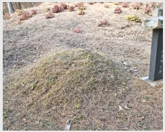  2024Ÿ86017   û õ 106-2      (1)