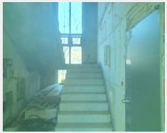  2024Ÿ��86543  �ٰ������ð��