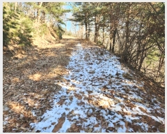  2024Ÿ��86727 ��� �����ֽ� ȭ���� �ݳ��� ��56-110      ����(�Ӿ�)���