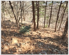  2024Ÿ��86727 ��� �����ֽ� ȭ���� �ݳ��� ��56-110      ����(�Ӿ�)���