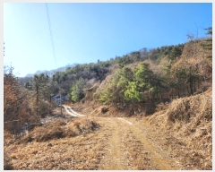  2024Ÿ��86727 ��� �����ֽ� ȭ���� �ݳ��� ��56-110      ����(�Ӿ�)���