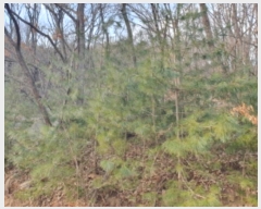  2024Ÿ��86727 ��� �����ֽ� ȭ���� �ݳ��� ��56-110      ����(�Ӿ�)���