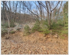  2024Ÿ��86727 ��� �����ֽ� ȭ���� �ݳ��� ��56-110      ����(�Ӿ�)���