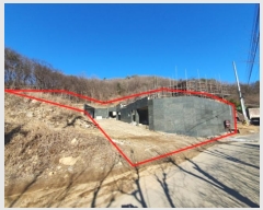  2024Ÿ��181  �����