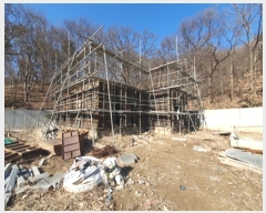  2024Ÿ��181  �����