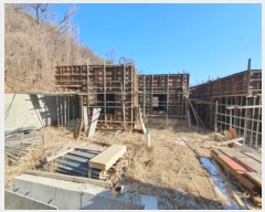  2024Ÿ��181  �����