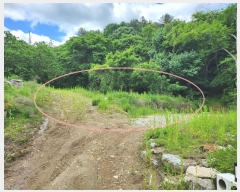  2024Ÿ��2620 ��� ���� ���Ǹ� â�Ǹ� 247-15      ����(��1)���