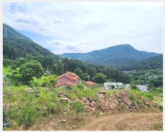  2024Ÿ3388  ֽ  ܹ渮 43-87      (Ӿ)