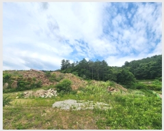  2024Ÿ3388  ֽ  ܹ渮 43-87      (Ӿ)