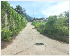  2024Ÿ3388  ֽ  ܹ渮 43-87      (Ӿ)