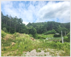  2024Ÿ3388  ֽ  ܹ渮 43-87      (Ӿ)