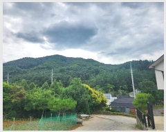  2024Ÿ3388  ֽ  ܹ渮 43-87      (Ӿ)