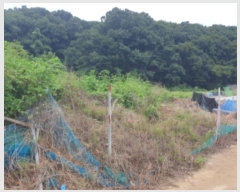  2024Ÿ4473  ֽ ȭ 䳻 52      (Ӿ)