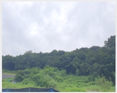  2024Ÿ4473  ֽ ȭ 䳻 52      (Ӿ)