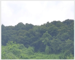  2024Ÿ4473  ֽ ȭ 䳻 52      (Ӿ)