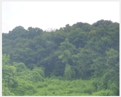  2024Ÿ4473  ֽ ȭ 䳻 52      (Ӿ)