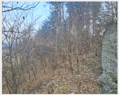  2024Ÿ5780   Ǹ õ 66-7      (Ӿ)