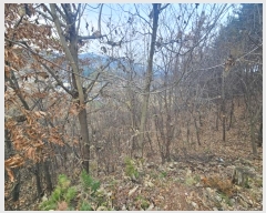  2024Ÿ5780   Ǹ õ 66-7      (Ӿ)