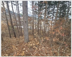  2024Ÿ5780   Ǹ õ 66-7      (Ӿ)