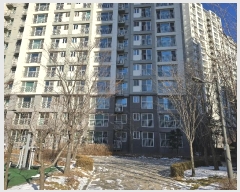  2024Ÿ6332   긶 46, 403 4403ȣ (ŵ,ŽŸ)    Ʈ