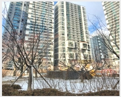  2024Ÿ��70203  ����Ʈ���