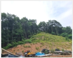  2024Ÿ��72445 ��� �����ֽ� ������ �ݰ ��24      ����(�Ӿ�)���