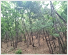  2024Ÿ��72445 ��� �����ֽ� ������ �ݰ ��24      ����(�Ӿ�)���