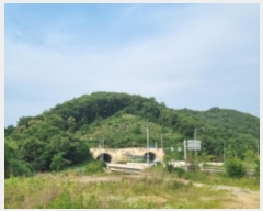  2024Ÿ��72445 ��� �����ֽ� ������ �ݰ ��24      ����(�Ӿ�)���